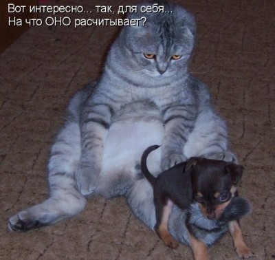 G0.jpg