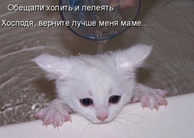 OY.jpg