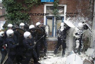 .jpg