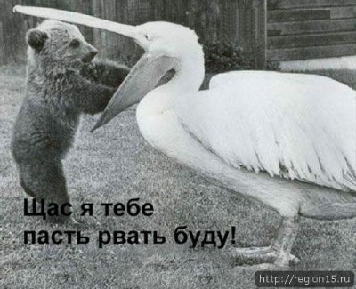 past_2113299.jpg