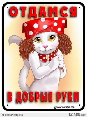 мурка.jpg