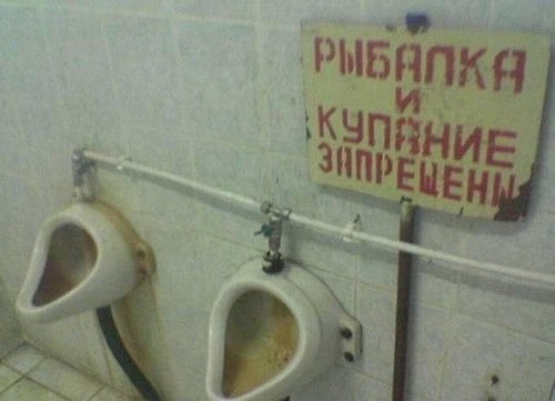 1195759097_10.jpg