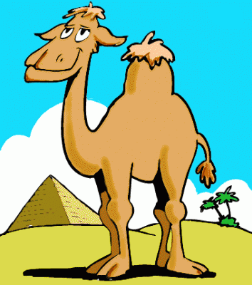 002042_CamelColor.gif