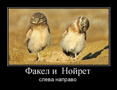 ФакНой.jpeg