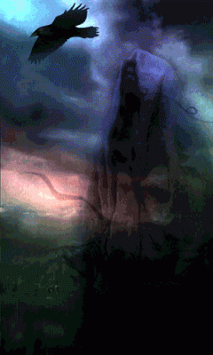 d40b10f03f29.gif