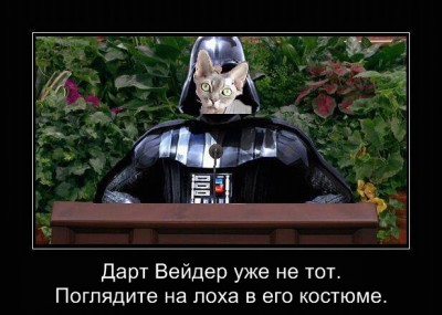 Horse Darth Vader.jpg
