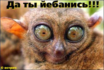 вот так вот.jpg