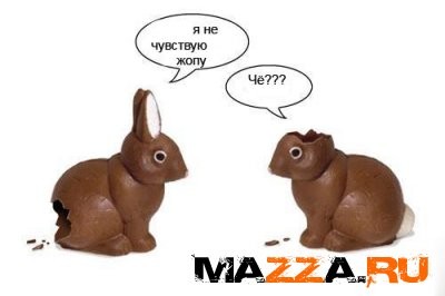 1147463609_132.jpg