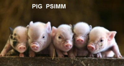 PIG_PSIMM.jpg
