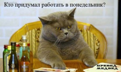 1206384377_0[1].jpg