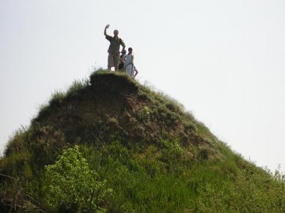 653.jpg