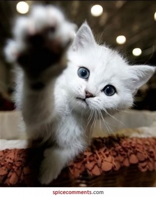 хоть потрогать.jpg